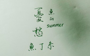 忧愁吉他谱_鱼丁糸_G调_变调夹2品_一颗加菲