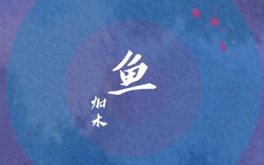 鱼吉他谱_加木_C调_变调夹不夹_濮宇