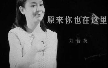 原来你也在这里吉他谱_刘若英_G调_变调夹2品_酷音小伟的教程