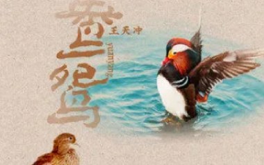 鸳鸯吉他谱_王天冲_G调_变调夹不夹_两万五