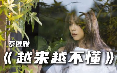 越来越不懂吉他谱_蔡健雅_C调_变调夹不夹_悦音之声