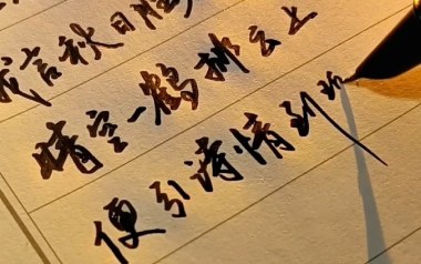 予你情诗吉他谱_连秋_C调_变调夹降半音调弦_吉他专家