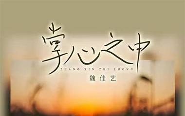 掌心之中吉他谱_魏佳艺_G调_变调夹2品_酷玩吉他