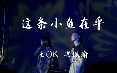 这条小鱼在乎吉他谱_王OK_G调_变调夹1品_浪淘沙