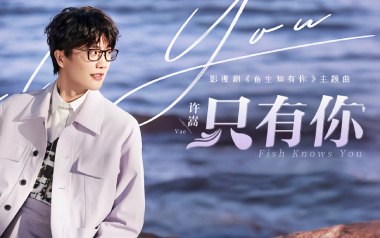 只有你吉他谱_许嵩_C调_变调夹1品_山山吉他的教程