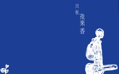 只有夜来香吉他谱_卢广仲_D调_变调夹不夹_小埋