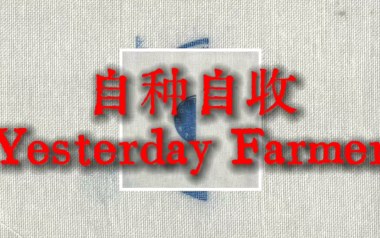 自种自收吉他谱_杨世暄_G调_变调夹2品_浪淘沙
