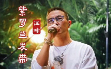 紫罗兰发带吉他谱_汪峰_G调_变调夹2品_胡sir吉他