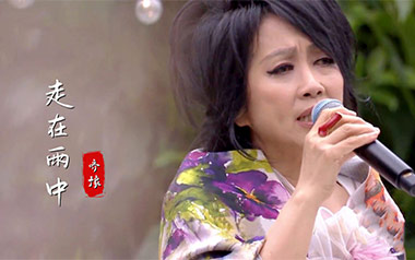 走在雨中吉他谱_齐豫_G调_变调夹3品_濮宇